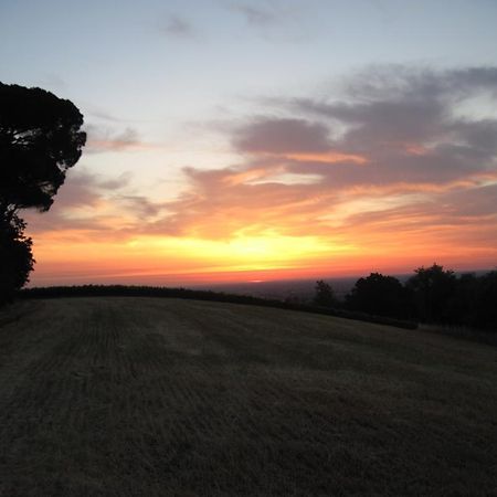 Tenuta Olmatello Quartolo Kültér fotó