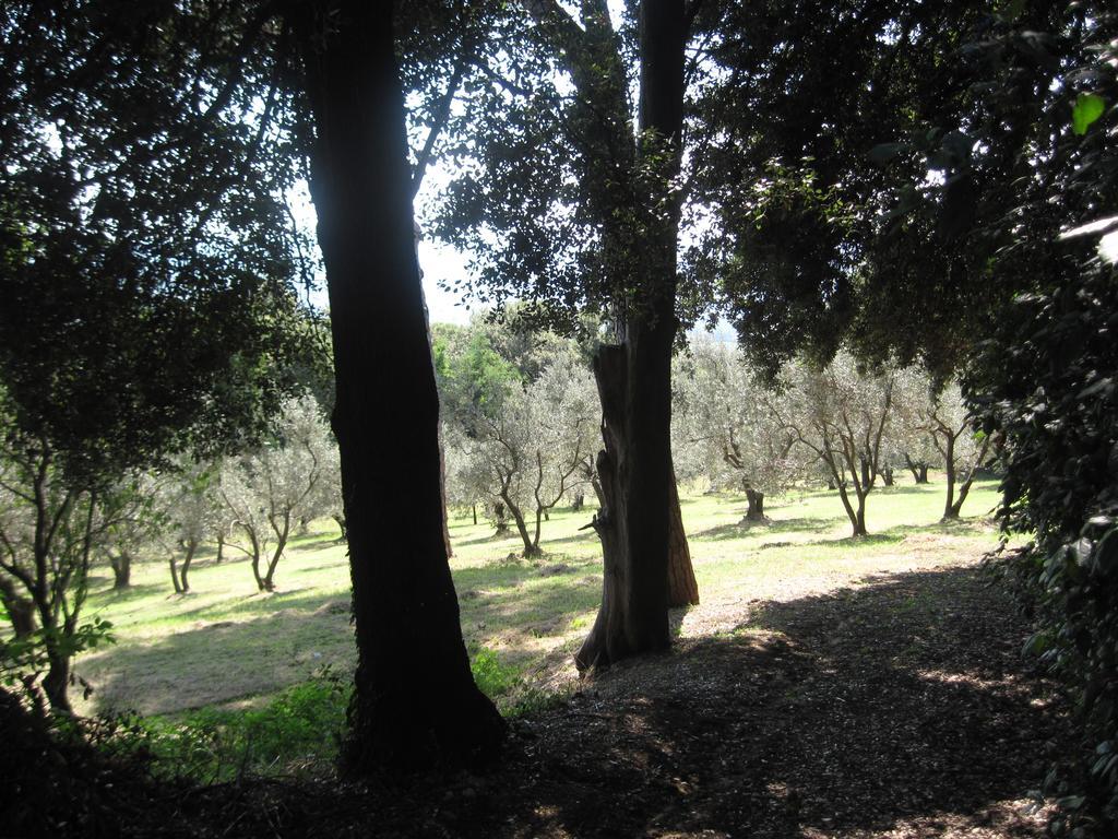 Tenuta Olmatello Quartolo Kültér fotó