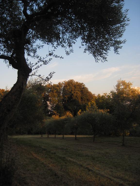 Tenuta Olmatello Quartolo Kültér fotó