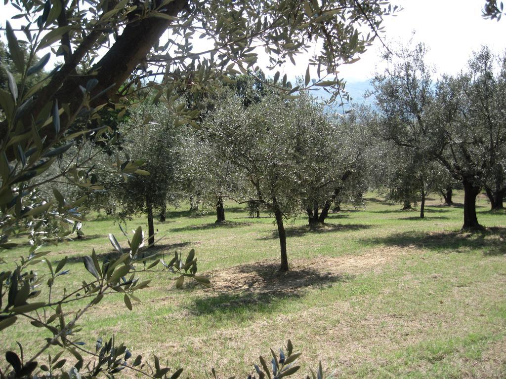 Tenuta Olmatello Quartolo Kültér fotó