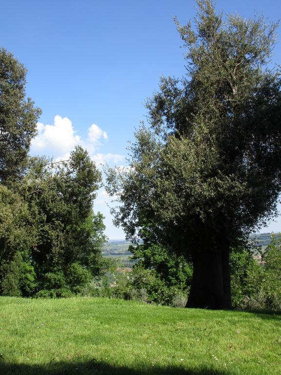 Tenuta Olmatello Quartolo Kültér fotó